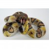 Коллекционный сувенир талисман Гремучая змея arts collection